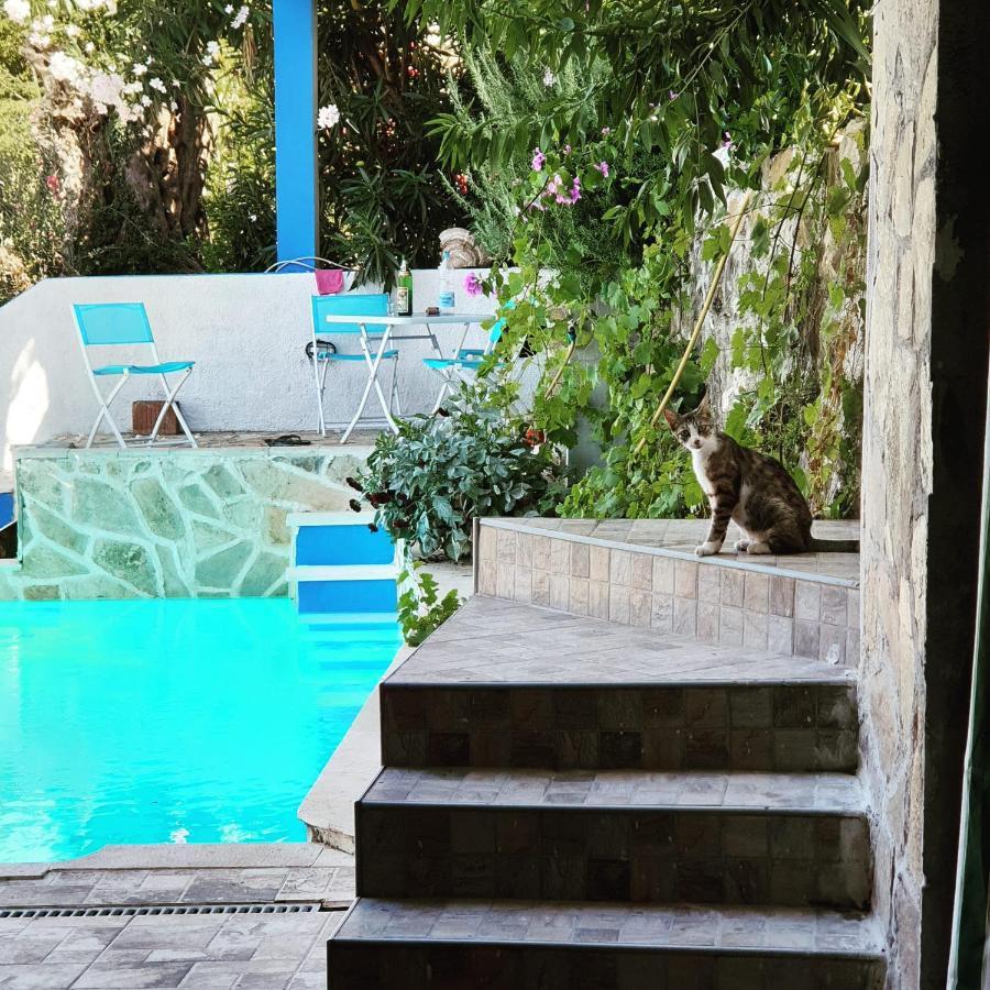 Bečići Apartment Bradex Dreams מראה חיצוני תמונה