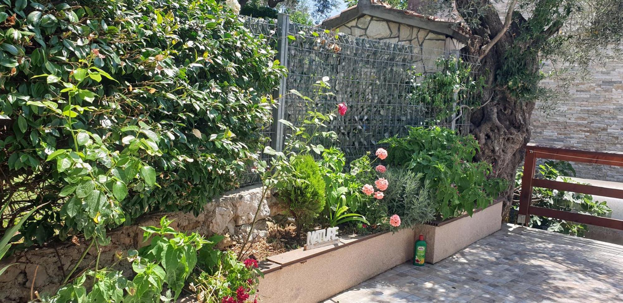 Bečići Apartment Bradex Dreams חדר תמונה