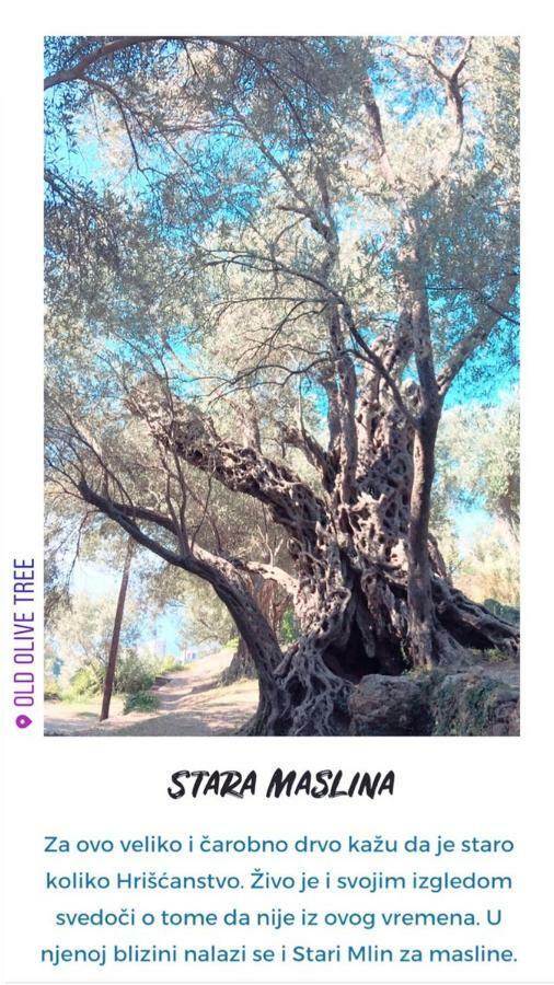 Bečići Apartment Bradex Dreams מראה חיצוני תמונה